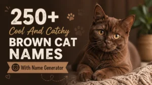 Brown Cat Names