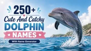 Dolphin Names