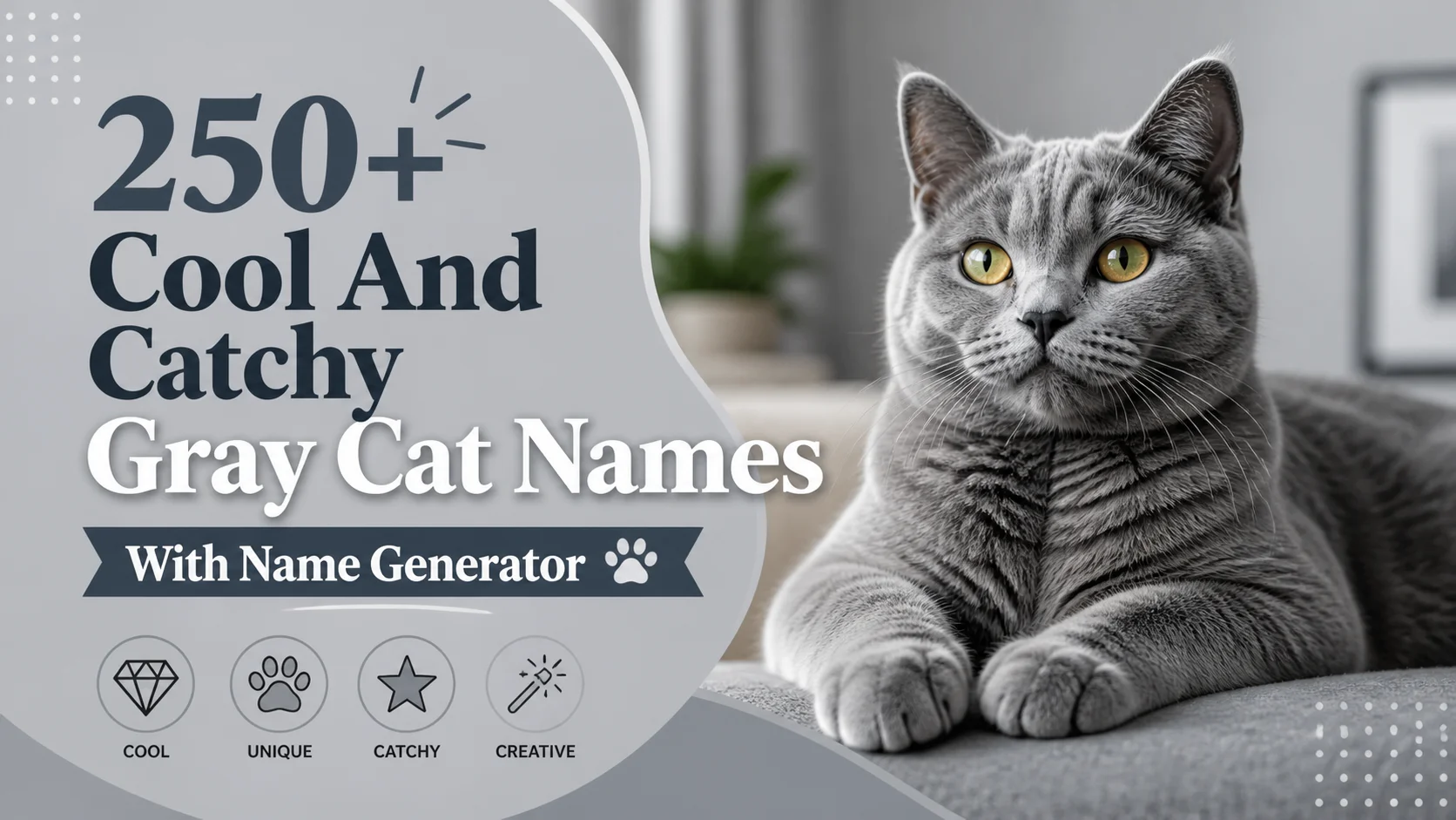 Gray Cat Names