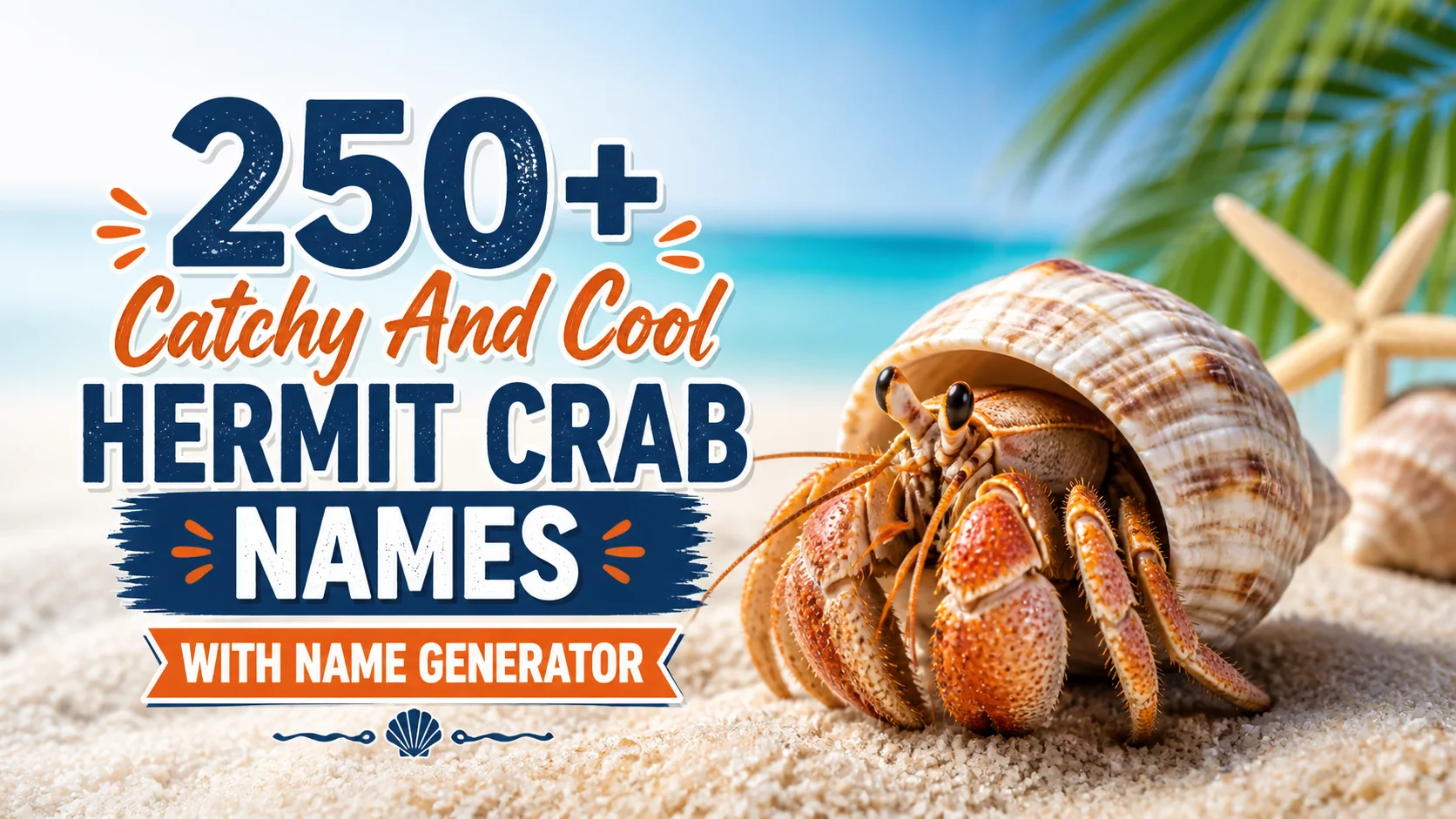 Hermit Crab Names