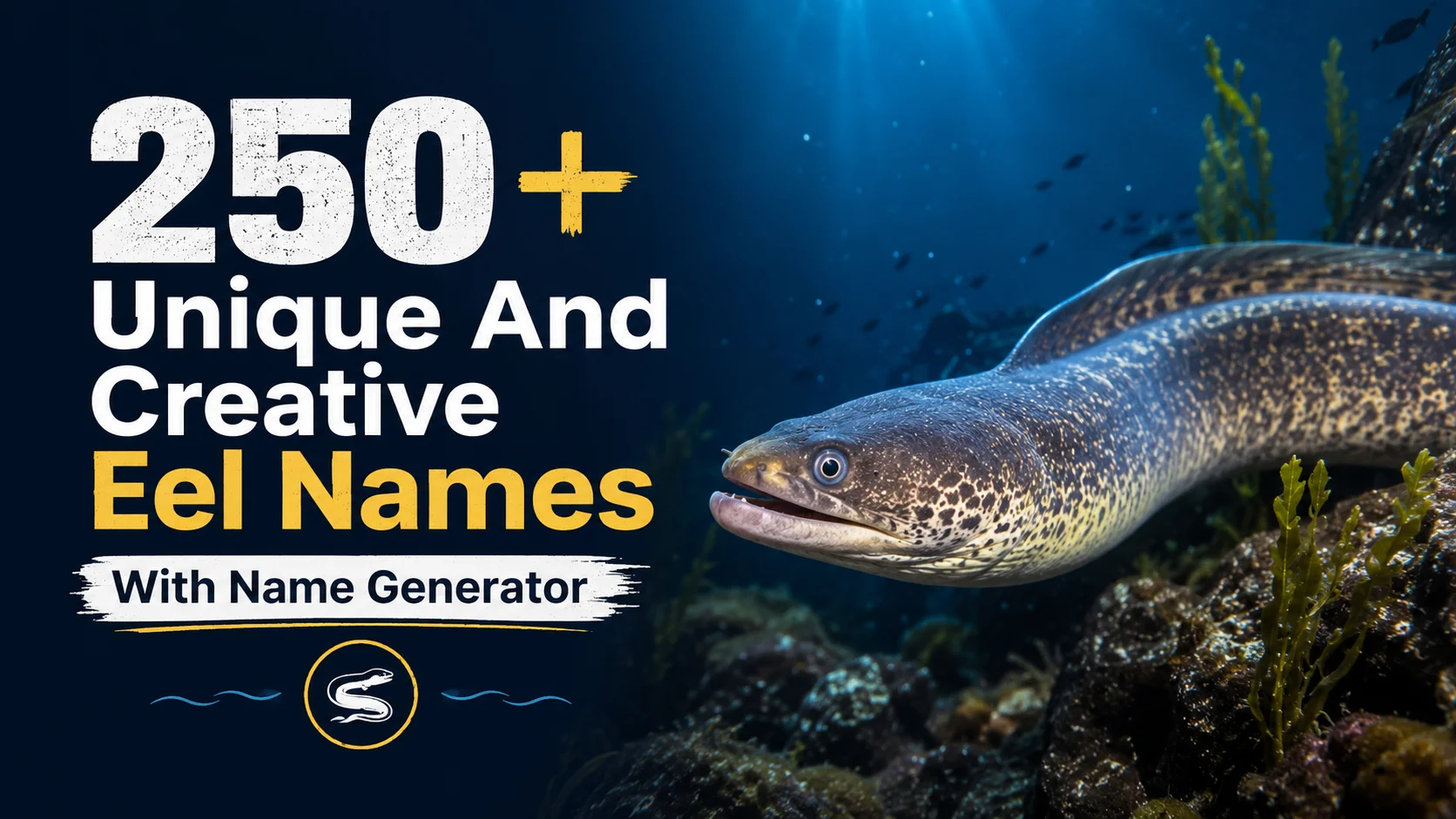 Eel Names