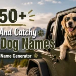 Jeep Dog Names